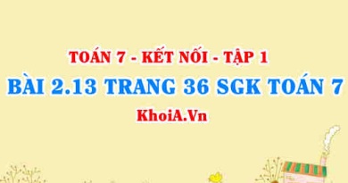 Bài 2.13 trang 36 SGK Toán 7 tập 1 Kết nối tri thức